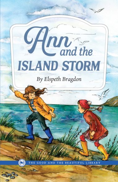 Ann and the Island Storm by Elspeth Bragdon