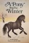 A Pony for the Winter by Helen Kay
