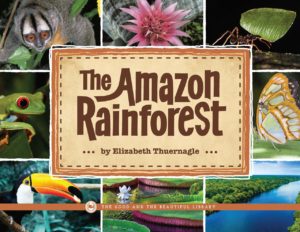 The Amazon Rainforest - The Good and The Beautiful Book List