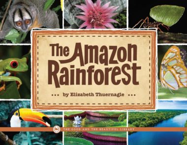 The Amazon Rainforest by Elizabeth Thuernagle