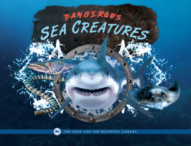 Dangerous Sea Creatures by The Good and the Beautiful Team