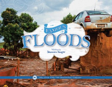 Famous Floods by Shannen Yauger