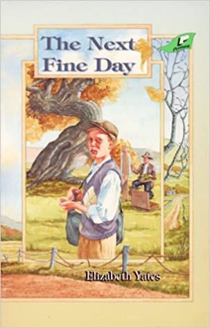 The Next Fine Day by Benjamin D. Wicker