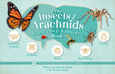 The Insects & Arachnids Questions & Answers Book