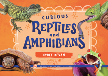 Curious Reptiles and Amphibians by Nyree Bevan