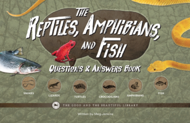The Reptiles, Amphibians, and Fish Questions & Answers Book by Meg Jenkins