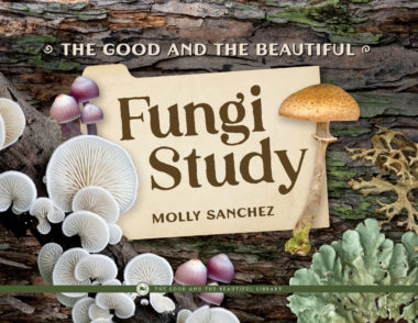 The Good and the Beautiful Fungi Study By Molly Sanchez