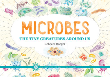 Microbes: The Tiny Creatures Around Us By Rebecca Borger