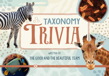Taxonomy Trivia By The Good and the Beautiful Team
