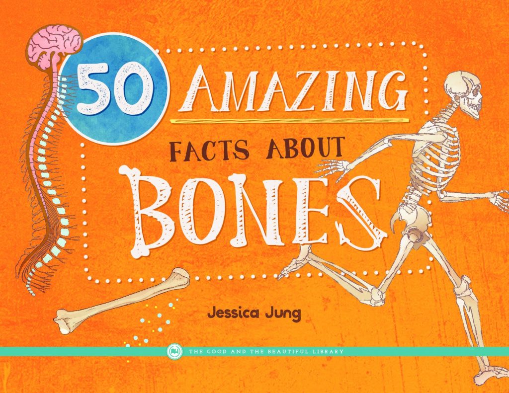50 Amazing Facts About Bones
